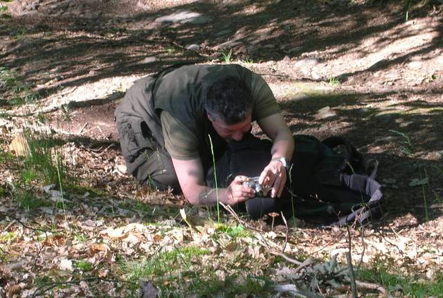 Alla ricerca della Arachnopeziza